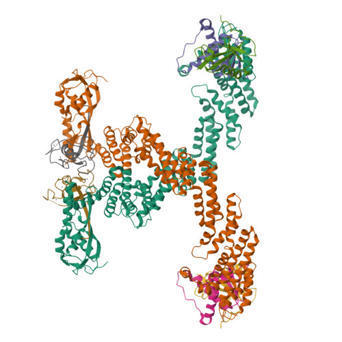 Rbx1 Structure RCSB PDB - 9J63: Cryo-EM structure of neddylated Cul2-Rbx1-EloBC-FEM1B ...