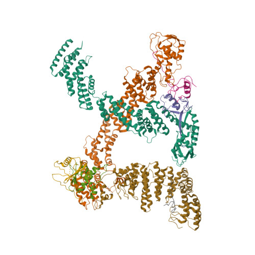 Rbx1 Structure RCSB PDB - 9J64: Cryo-EM structure of neddylated Cul2-Rbx1-EloBC-FEM1B ...