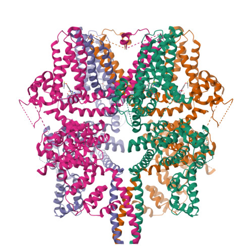 RCSB PDB - 9J84: Structureal mechanism of human TRPM3 ion channel ...
