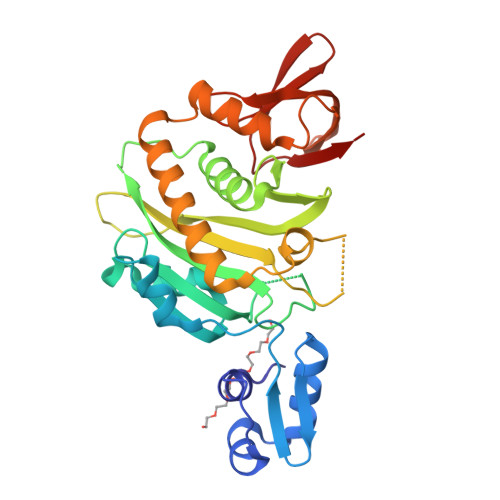 RCSB PDB - 9J8F: Structural insights into BirA from Haemophilus ...