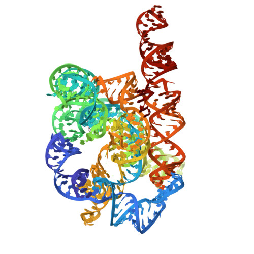 RCSB PDB - 9J9X: Tetrahymena Ribozyme L-16 complex with small molecule ...