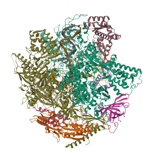RCSB PDB - 9JA1: The RNA polymerase II elongation complex from
