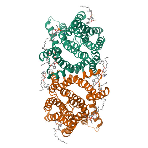 Pld Structure RCSB PDB - 9JBH: Cryo-EM structure of the human LYCHOS PLD homodimer