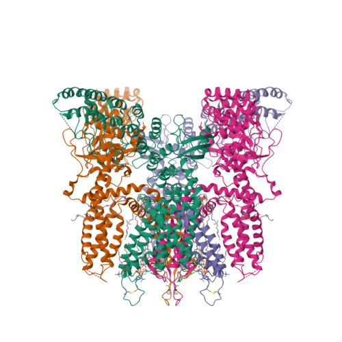 RCSB PDB - 9JE5: Cryo-EM structure of human TRPV3 in complex with ...