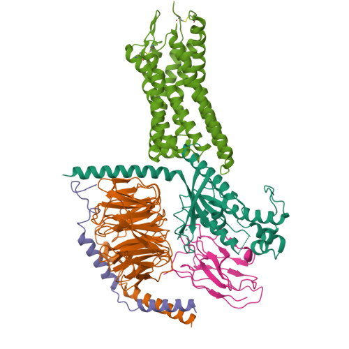 RCSB PDB - 9JFW: Cryo-EM structure of GPR4 complexed with Gs in pH6.8
