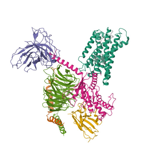RCSB PDB - 9JH5: Activation mechanism of CYSLTR2 by C16:0 ceramide