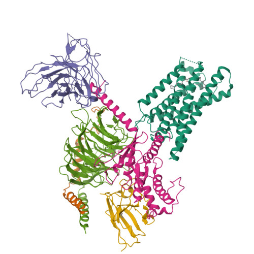RCSB PDB - 9JH6: Activation mechanism of CYSLTR2 by C20:0