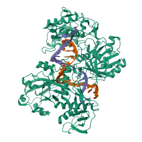 RCSB PDB - 9JHM: Cryo-EM structure of CpAgo_gDNA-tg_bubble_dsDNA ...