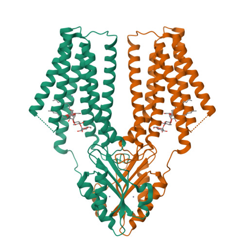 RCSB PDB - 9JJ1: Cryo-EM structure of human ZnT3