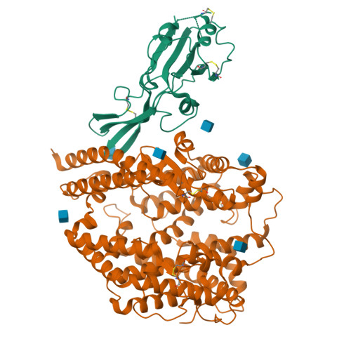 RCSB PDB - 9JJ6: BtHKU5-CoV-2-441 Spike RBD domain binding