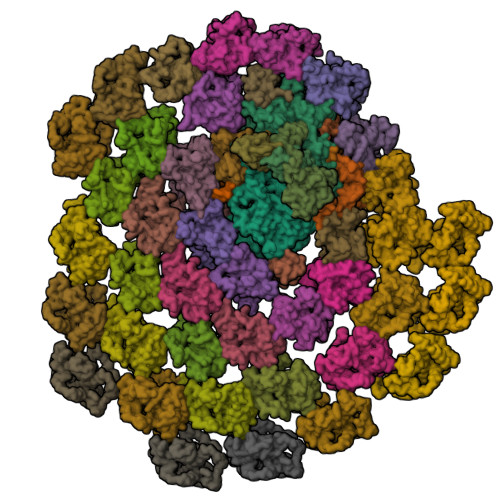 RCSB PDB - 9JJ8: Structural insights into the PSI-FCPI