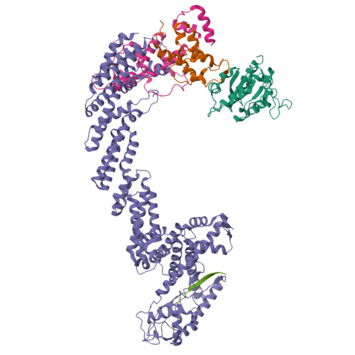 Rbx1 Structure RCSB PDB - 9JKB: Cryo-EM structure of the CUL1-RBX1-SKP1-FBXO4 SCF ...