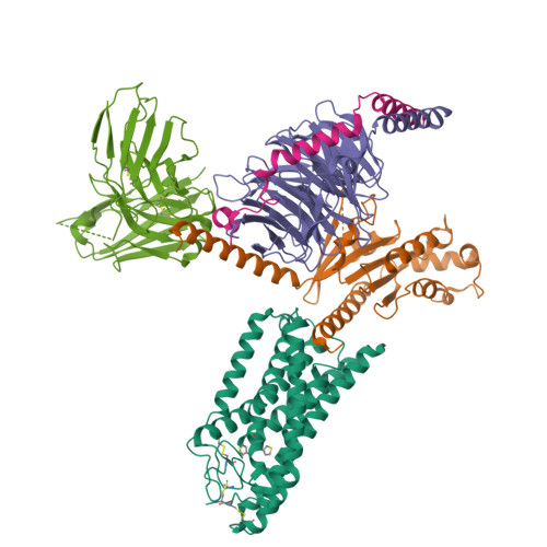 Rcsb RCSB PDB - 9JKS: 6O-HCAR3-Gi complex