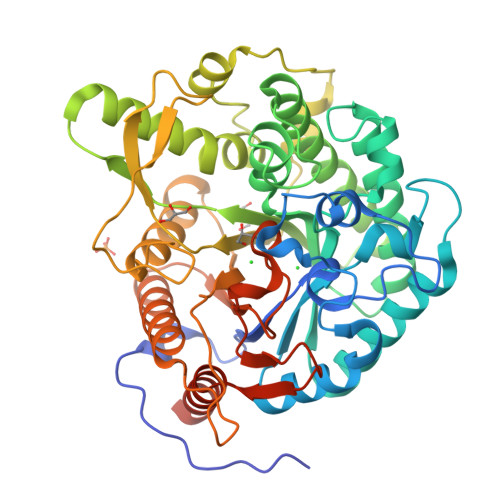 RCSB PDB - 9JLZ: High resolution crystal structure of GH1 beta ...