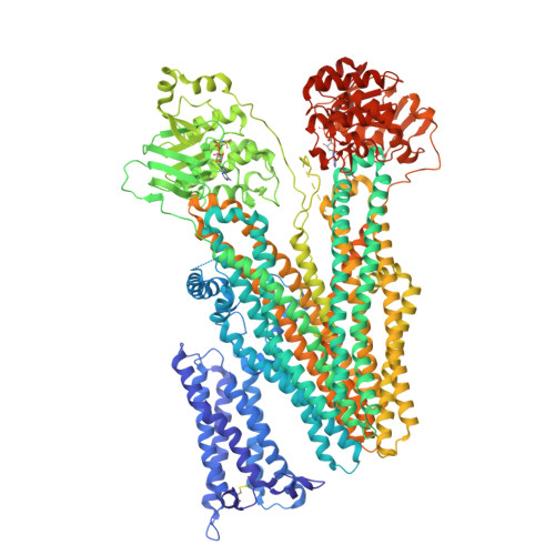 Rest Complex Structure RCSB PDB - 9JN1: apo Multidrug resistance-associated protein 2 in ...
