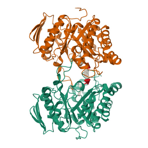 RCSB PDB - 9JOH: COMPLEX STRUCTURE OF ENDO-1,3-FUCANASE (FUN168D