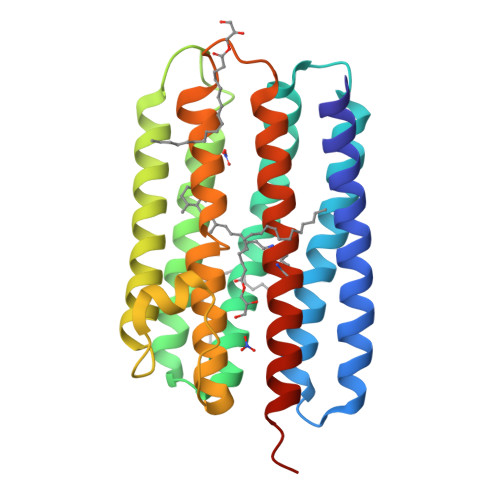 RCSB PDB - 9JTQ: Crystal structure of the light-driven proton pump ...