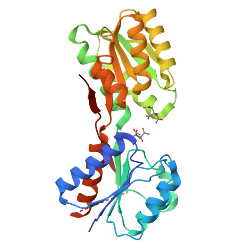 RCSB PDB - 9JWO: De novo designed D-allose binding protein based on 1gud