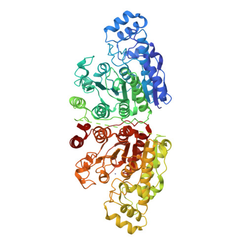 Structure 9K91