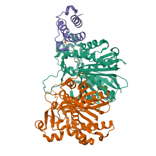 TTページ RCSB PDB - 9KA6: Crystal structure of beta-ketoacyl-ACP synthase