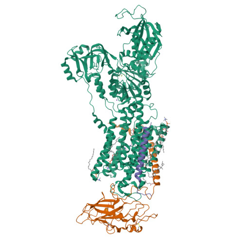 RCSB PDB - 9KCI: Cryo-EM structure of human sodium pump WT in (2K+)E2 ...
