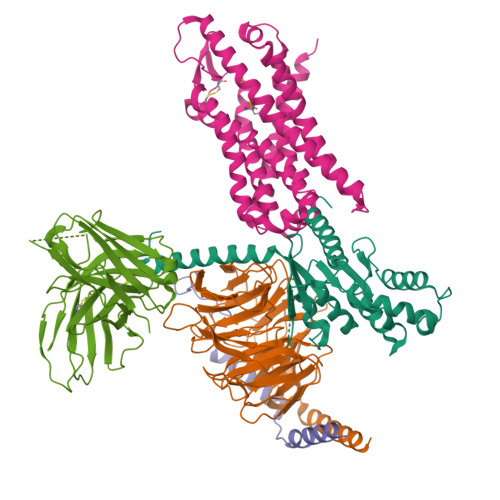 RCSB PDB - 9KFT: Cryo-EM structure of the fMLFC-FPR1-Gi complex