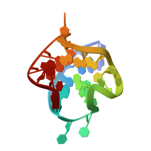 RCSB PDB - 9KG4: Solution structure of free hTERT promoter G-quadruplex