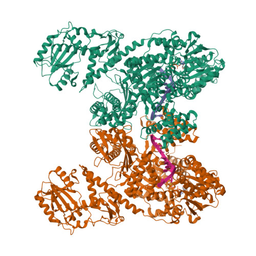 RCSB PDB - 9KI0: structure of DdmD dimer with ssDNA with AGS