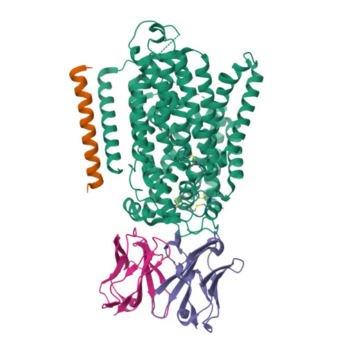 Kmn Complex RCSB PDB - 9KMN: Structure of hSGLT2-MAP17 complex in the substrate ...