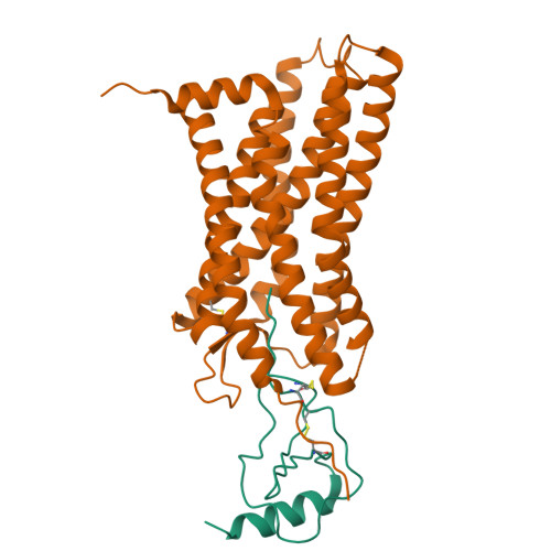 RCSB PDB - 9KO6: A local Cryo_EM structure of CCR7 complex with CCL19