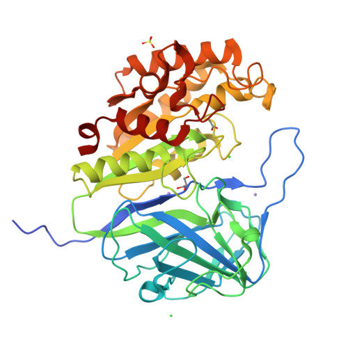 RCSB PDB - 9KQZ: Structural Basis for the Polymer-Protein Binding ...