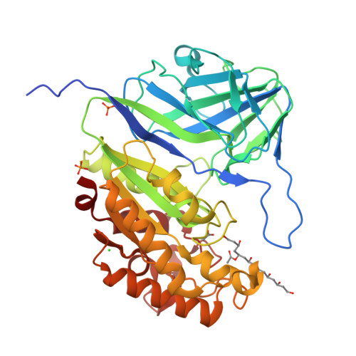 RCSB PDB - 9KR2: Structural Basis for the Polymer-Protein Binding ...