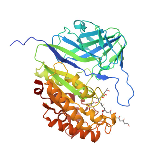 RCSB PDB - 9KR3: Structural Basis for the Polymer-Protein Binding ...