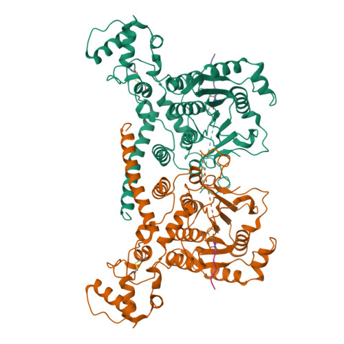 RCSB PDB - 9KR6: Cryo-EM structure of MPXV core protease in