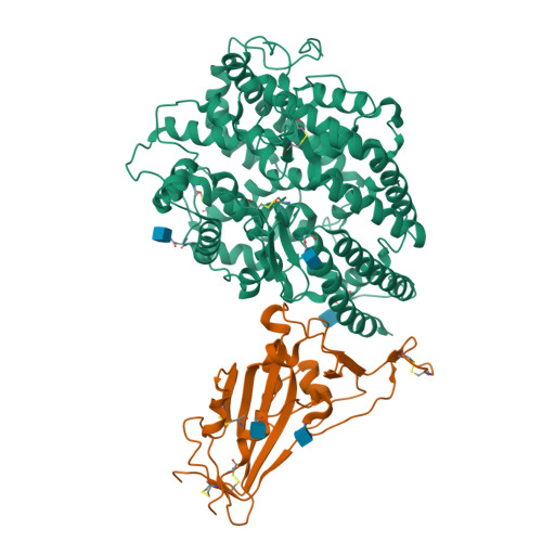 RCSB PDB - 9KUD: Crystal structure of SARS-CoV-2 JN.1 variant RBD ...