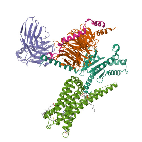 Tmt Structure RCSB PDB - 9KVH: A Cryo_EM structure of 5_HT1A complex with TMT