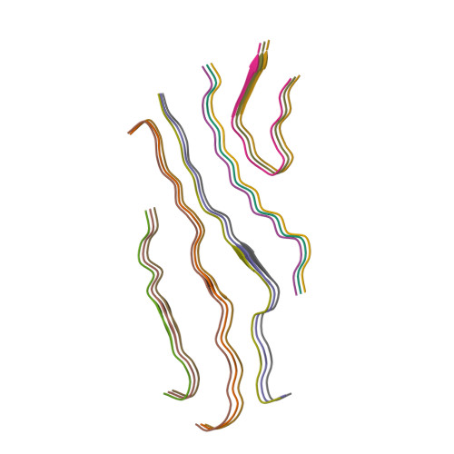 RCSB PDB - 9KZO: Cryo-EM structure of amyloid peptide-silk block ...