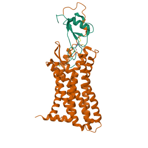 RCSB PDB - 9L16: A local Cryo_EM structure of CCR7 complex with CCL21