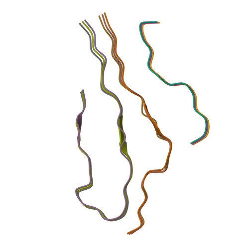 RCSB PDB - 9L2S: Cryo-EM structure of amyloid peptide-silk block ...