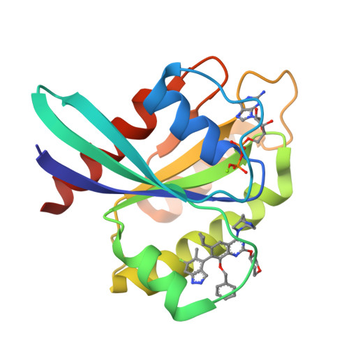RCSB PDB - 9L6A: Crystal structure of KRas G12D (GDP) in complex