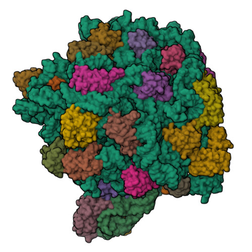 Structure 9L94