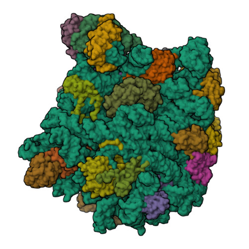 Structure 9L96