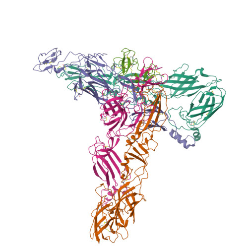RCSB PDB - 9L9A: Structure of Western equine encephalitis virus ...