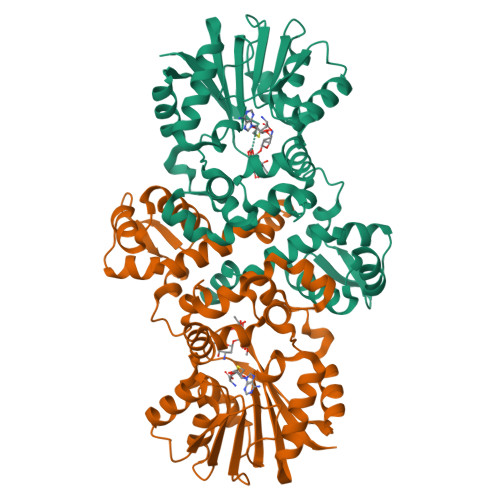 RCSB PDB - 9LAC: Comparative analysis of functions and catalytic ...