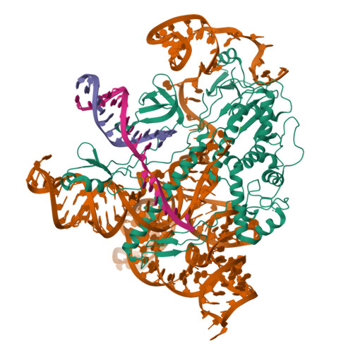 RCSB PDB - 9LIS: CryoEM Structures Uncover the Unexpected Hinges of ...