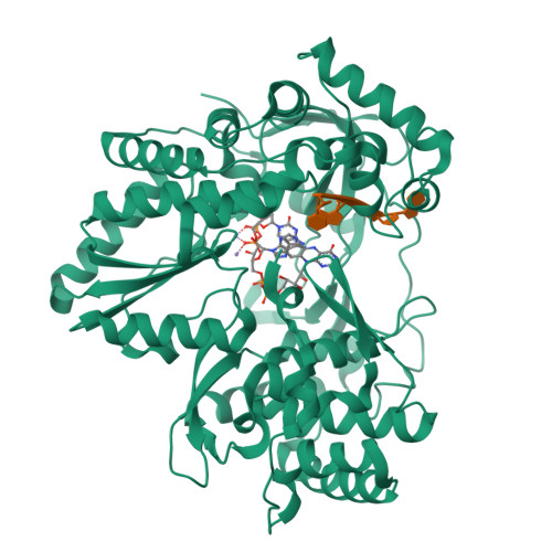 RCSB PDB - 9LJS: Structural insights into the polymerase catalyzed FAD ...