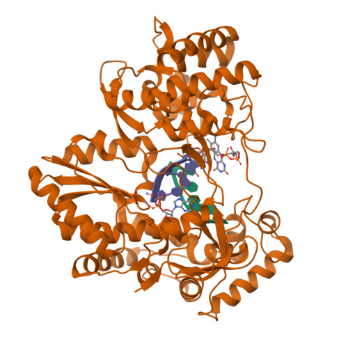 RCSB PDB - 9LJW: Structural insights into the polymerase catalyzed FAD ...