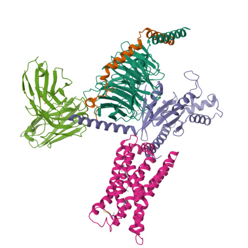 RCSB PDB - 9LL7: DOI-bound Serotonin 2A (5-HT2A) receptor-Gi complex
