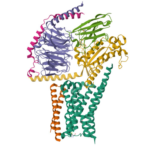 Lle Structure RCSB PDB - 9LLE: Cryo-EM structure of D1R-Gs in complex with de novo ...