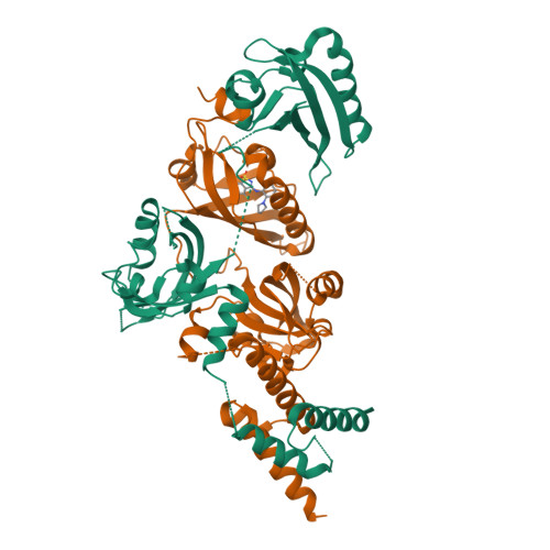RCSB PDB - 9LOH: Crystal Structure of the Heterodimeric HIF-2 Complex ...